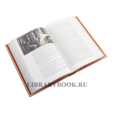 Миниатюра - 