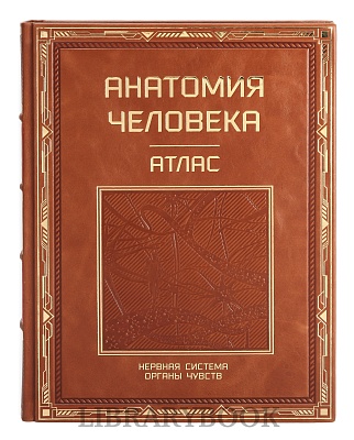 Подарочное издание книги Атлас анатомии человека в 3-х томах в кожаном переплете