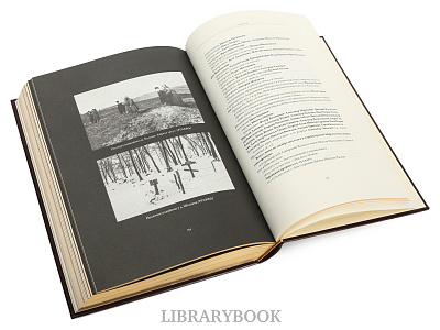 Миниатюра - 