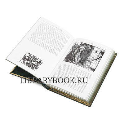 Миниатюра - 