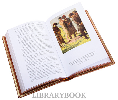 Миниатюра - 