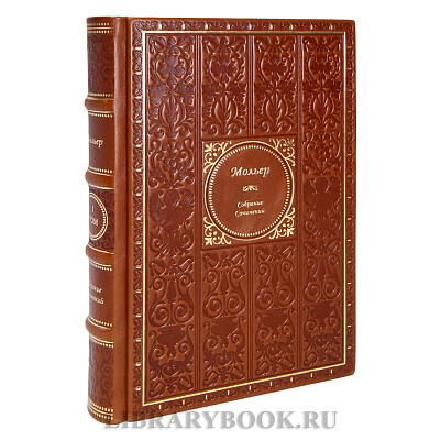 Миниатюра - 