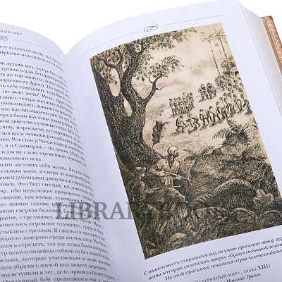 Миниатюра - 