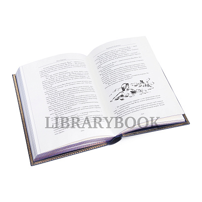 Миниатюра - 