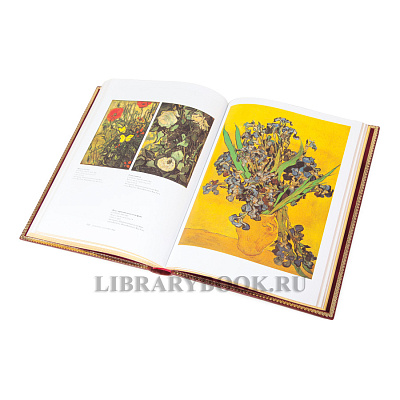 Миниатюра - 