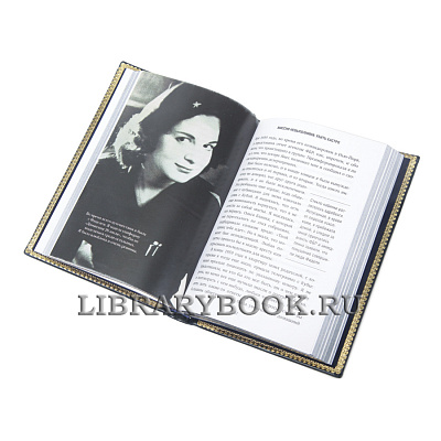 Миниатюра - 