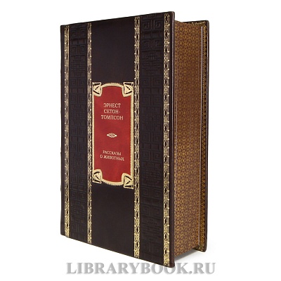 Миниатюра - 