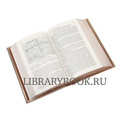 Миниатюра - 