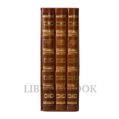 Миниатюра - 