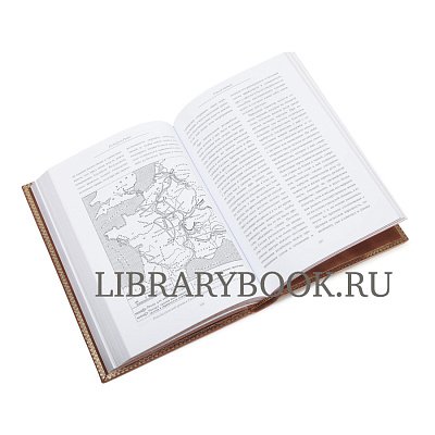 Миниатюра - 