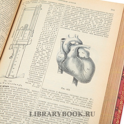 Миниатюра - 