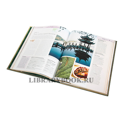 Миниатюра - 