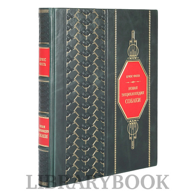 Миниатюра - 