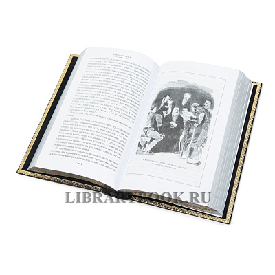 Миниатюра - 