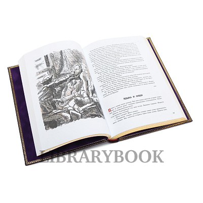 Миниатюра - 