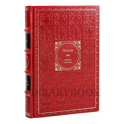 Миниатюра - 