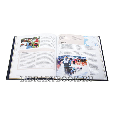 Миниатюра - 