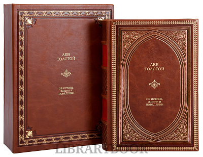 Миниатюра - 