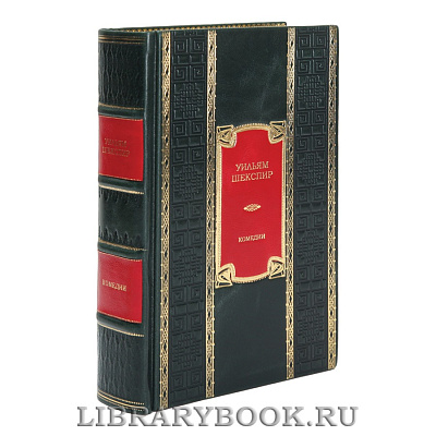 Миниатюра - 