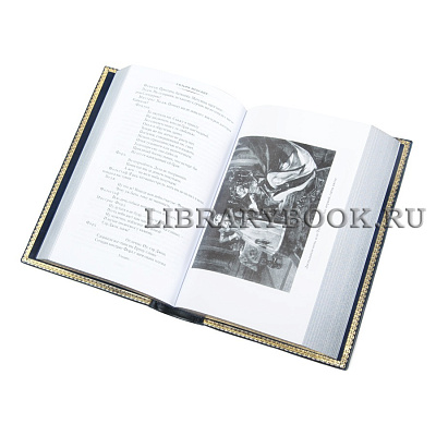 Миниатюра - 