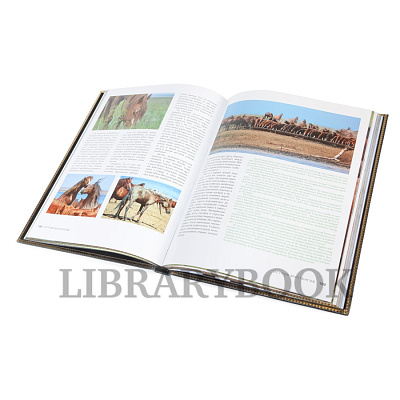 Миниатюра - 