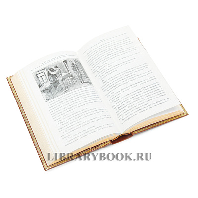 Миниатюра - 