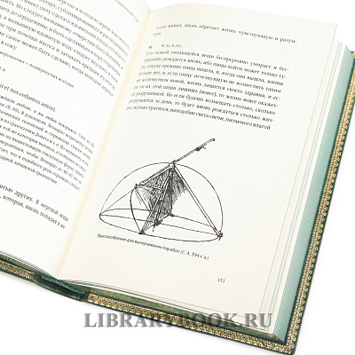 Миниатюра - 