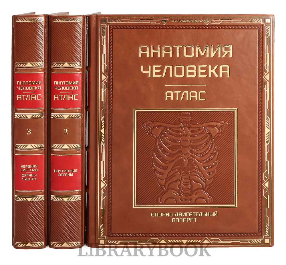 Подарочное издание книги Атлас анатомии человека в 3-х томах в кожаном переплете