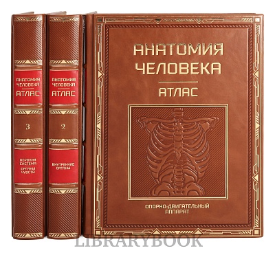 Миниатюра - 