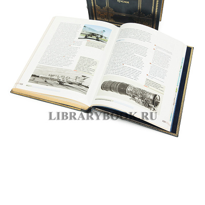 Миниатюра - 