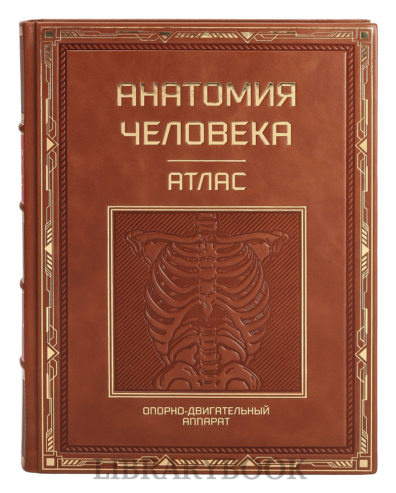 Подарочное издание книги Атлас анатомии человека в 3-х томах в кожаном переплете