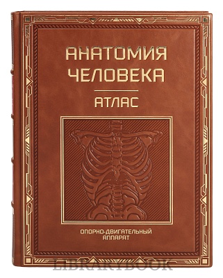 Миниатюра - 