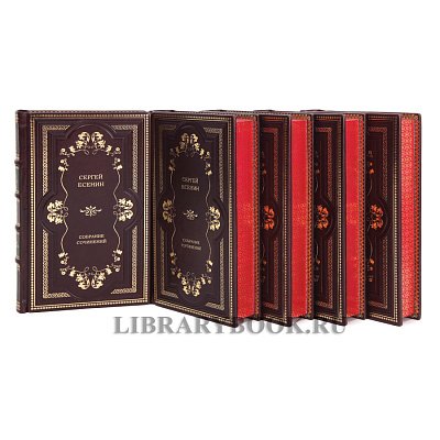 Миниатюра - 