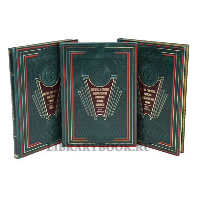 Миниатюра - 