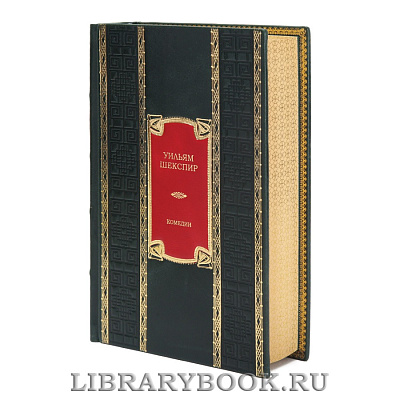 Миниатюра - 