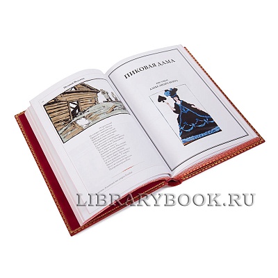 Миниатюра - 