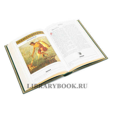 Миниатюра - 