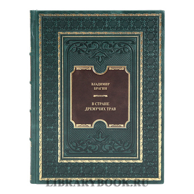 Подарочная книга В Стране Дремучих Трав Владимир Брагин в кожаном переплете