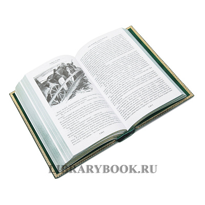 Миниатюра - 