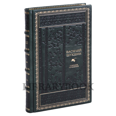 Миниатюра - 